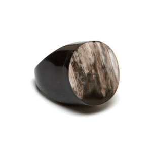 buffalo horn nacklace