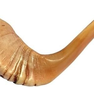 black horn shofar